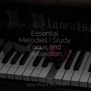 Mourning Symphony of Colors