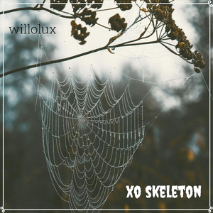 X O Skeleton