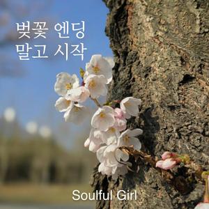 벚꽃 엔딩 말고,시작