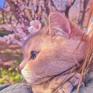 不染