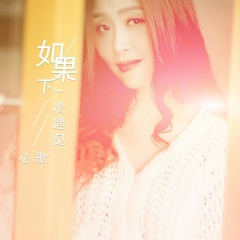 如果下一次遇见 (DJ版)