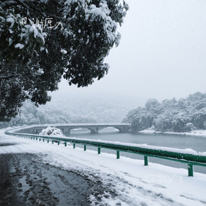 不下雪的广东