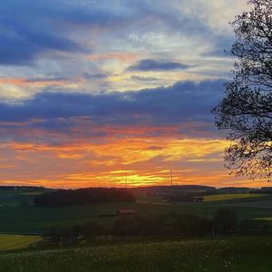 这个年纪早已输不起 纯音乐 伴奏