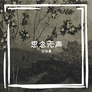 是不慌不忙 是心之所向
