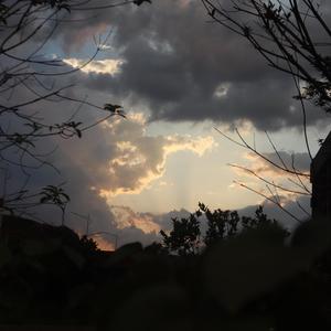 face WINd