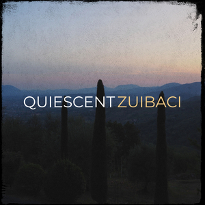 Quiescent