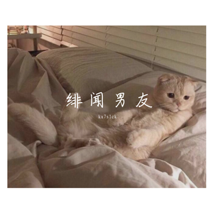 绯 闻 男 友