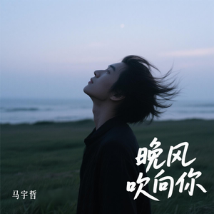 等风吹向你