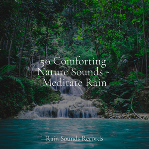 River, Brook, Nature Path