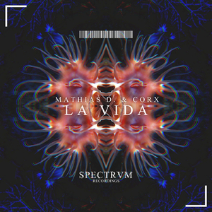 La Vida (Original Mix)