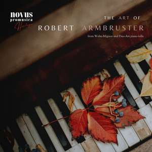 No. 6, a Dream (Arr. For Solo Piano by Armbruster)