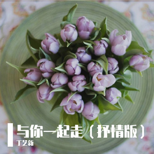 与你一起走（抒情版）