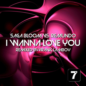 I Wanna Love You (Frank Lamboy's Club Mix)
