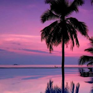 Dreamy