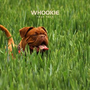 Whookie
