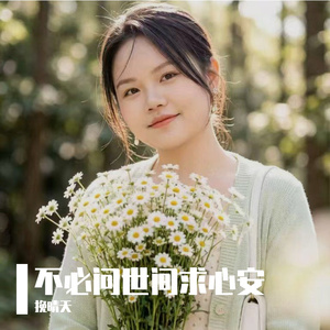 不必问世间求心安 伴奏
