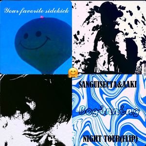 Your favorite sidekick SanRemix&Night tour SanFlip