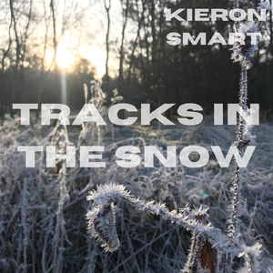 Tracks in the Snow