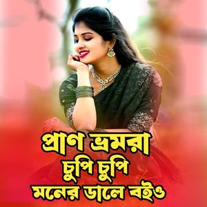 প্রাণ ভ্রমরা চুপি চুপি মনের ডালে বইও । Pran Vromora cupi cupi Moner Dale Boiyo