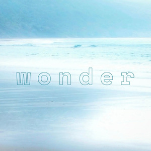 wonder (feat. 知声)