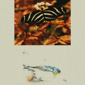 a new low (feat. JONILL)