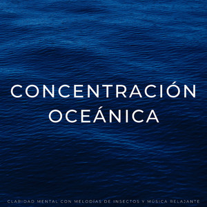 Tonos Armónicos Para La Agudeza Mental