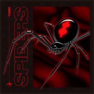 Spiders