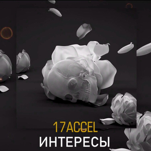 Интересы