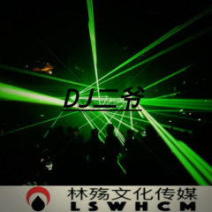 被宠爱的人都极其嚣张 (DJ版)