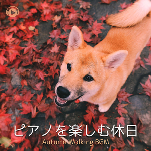 DIzzet (feat. Shusaku)