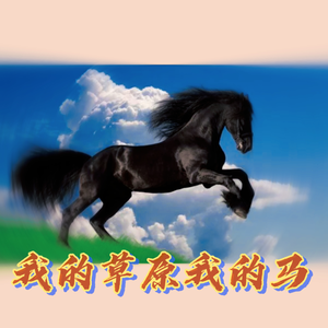 我的草原我的马