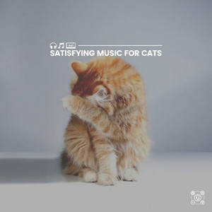 Ultimate Zen Music for Your Cat, Pt. 3