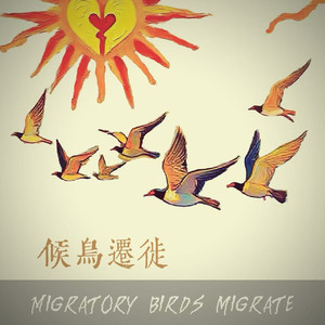 候鸟迁徙