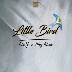Little Bird