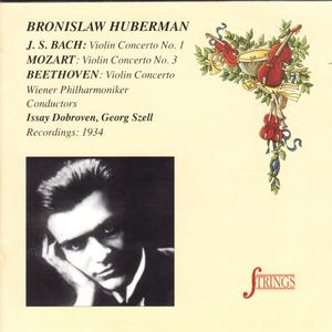 Concerto for Violin and Strings No. 1 in A Minor, BWV 1041: I. Allegro moderato