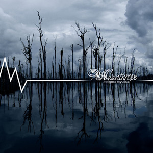 L'arborescence du lys