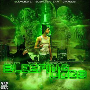 Sleeping Dogs (feat. Wintercastle & Pistolero2k)