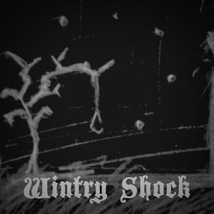 Wintry Shock