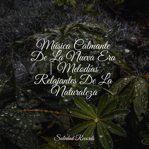 Resonancia De La Tierra