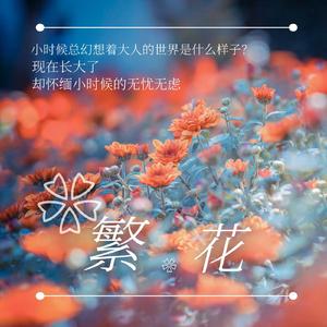 繁花 伴奏