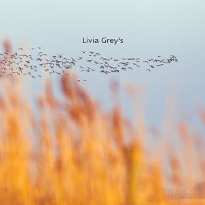 Birds Over Smoke
