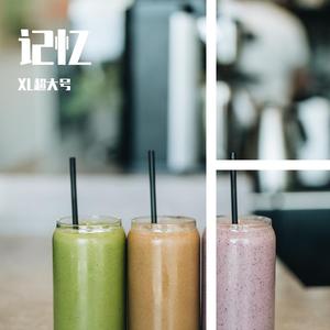 生命的翅膀 带人声（demo、混响）