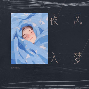 夜风入梦