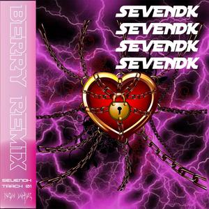 李佳隆-BERRY（Sevendk remix）