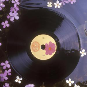 Moonlight on a Midnight Stream