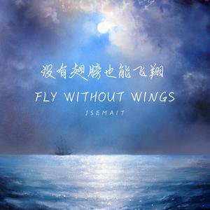 没有翅膀也能飞翔(Fly Without Wings)