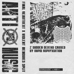 Gnawing On The Limp Palms of a Comatose Patient