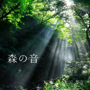 森の音