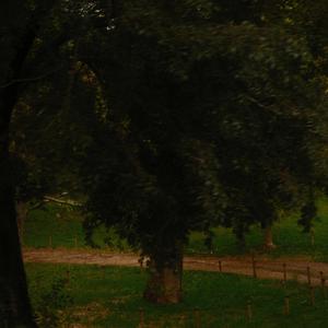 That's The Way It Goes