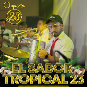 Tongoneaito (En Vivo)